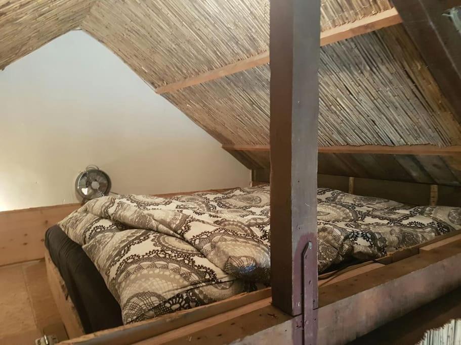 Balistyle Guesthouse Incl Hottub Near Amsterdam And Haarlem Velsen-Zuid Exteriér fotografie